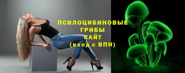 стафф Абдулино