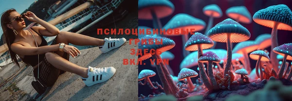 наркотики Абинск
