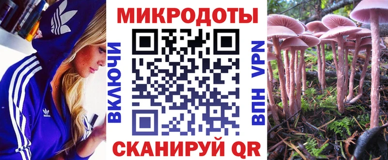 Псилоцибиновые грибы Psilocybine cubensis  Ртищево 